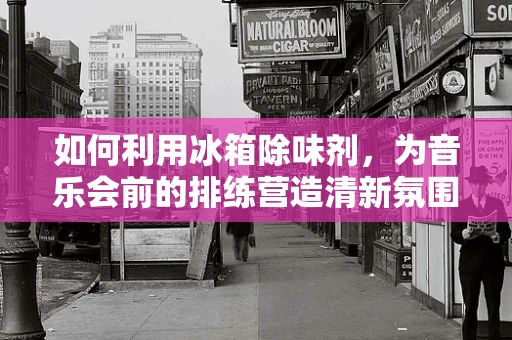 如何利用冰箱除味剂，为音乐会前的排练营造清新氛围？