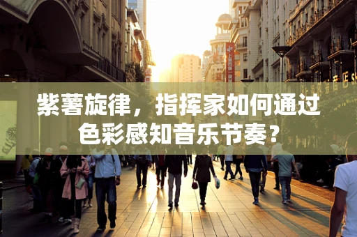 紫薯旋律，指挥家如何通过色彩感知音乐节奏？