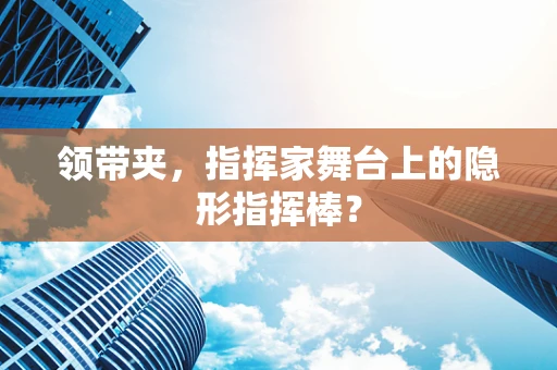 领带夹，指挥家舞台上的隐形指挥棒？
