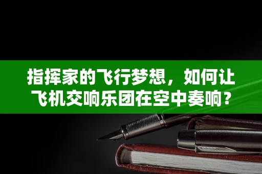 指挥家的飞行梦想，如何让飞机交响乐团在空中奏响？