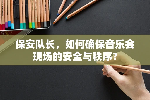 保安队长，如何确保音乐会现场的安全与秩序？