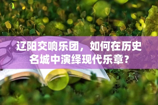 辽阳交响乐团，如何在历史名城中演绎现代乐章？