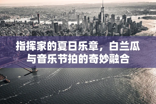 指挥家的夏日乐章，白兰瓜与音乐节拍的奇妙融合