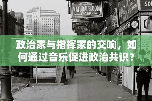 政治家与指挥家的交响，如何通过音乐促进政治共识？
