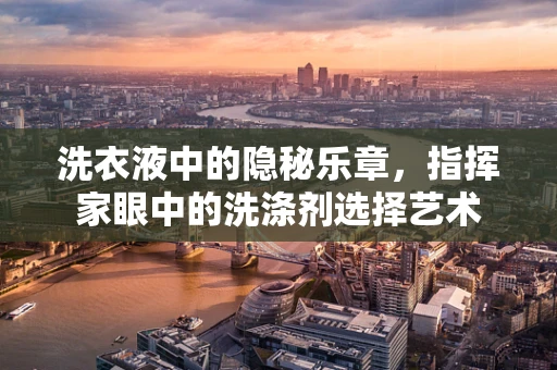 洗衣液中的隐秘乐章，指挥家眼中的洗涤剂选择艺术