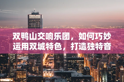 双鸭山交响乐团，如何巧妙运用双城特色，打造独特音乐体验？