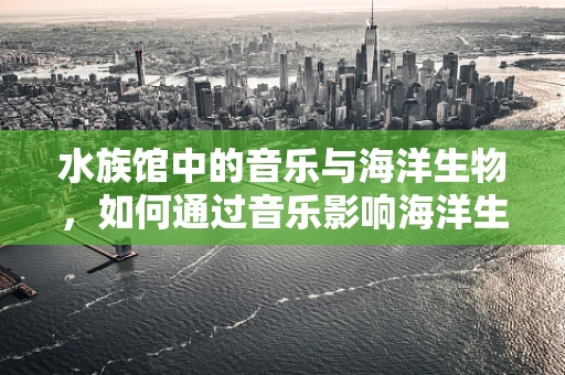 水族馆中的音乐与海洋生物，如何通过音乐影响海洋生物的福祉？