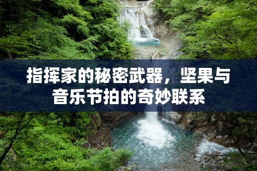 指挥家的秘密武器，坚果与音乐节拍的奇妙联系