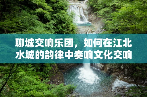 聊城交响乐团，如何在江北水城的韵律中奏响文化交响？