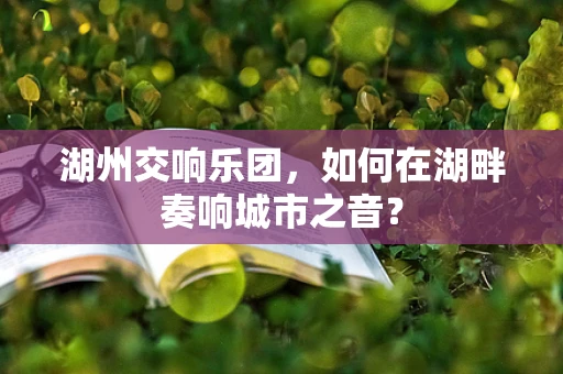 湖州交响乐团，如何在湖畔奏响城市之音？