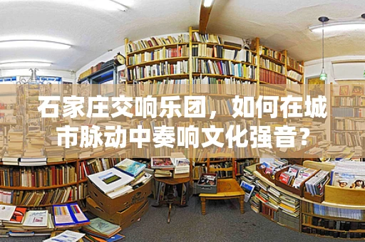 石家庄交响乐团，如何在城市脉动中奏响文化强音？