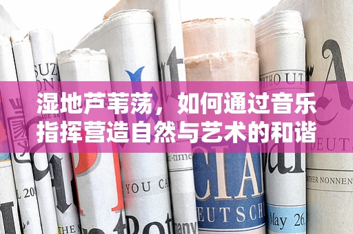湿地芦苇荡，如何通过音乐指挥营造自然与艺术的和谐共鸣？