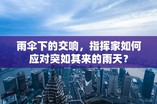雨伞下的交响，指挥家如何应对突如其来的雨天？