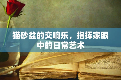 猫砂盆的交响乐，指挥家眼中的日常艺术