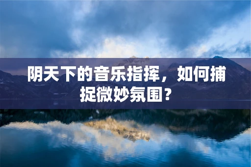 阴天下的音乐指挥，如何捕捉微妙氛围？