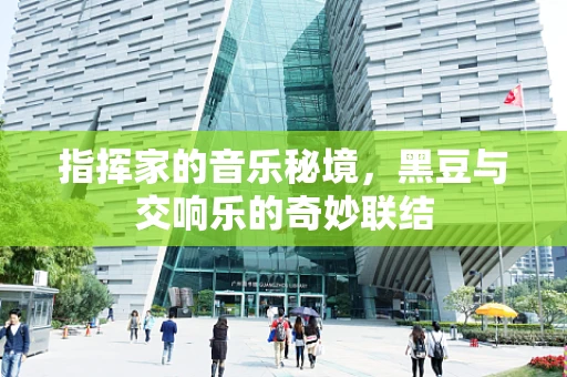 指挥家的音乐秘境，黑豆与交响乐的奇妙联结