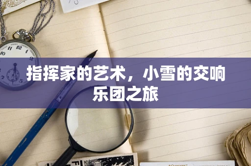 指挥家的艺术，小雪的交响乐团之旅