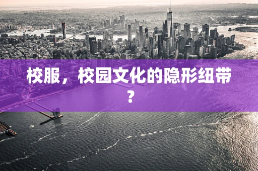 校服，校园文化的隐形纽带？