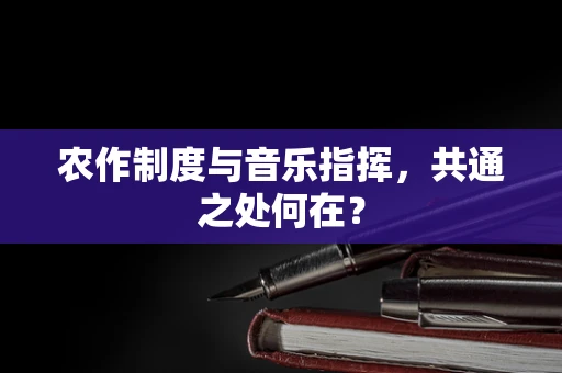 农作制度与音乐指挥，共通之处何在？