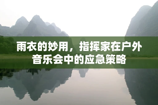 雨衣的妙用，指挥家在户外音乐会中的应急策略