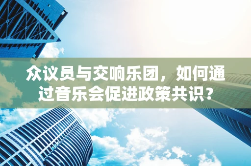 众议员与交响乐团，如何通过音乐会促进政策共识？