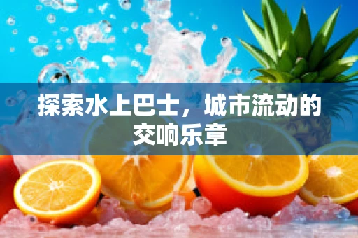 探索水上巴士，城市流动的交响乐章