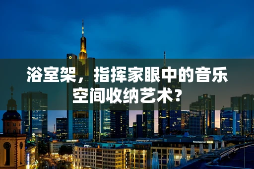 浴室架，指挥家眼中的音乐空间收纳艺术？