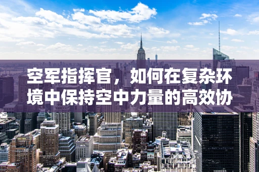 空军指挥官，如何在复杂环境中保持空中力量的高效协同？