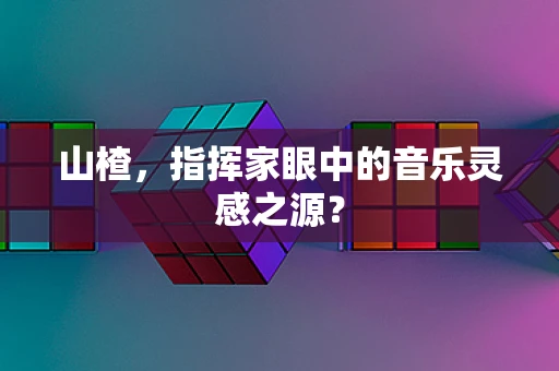 山楂，指挥家眼中的音乐灵感之源？