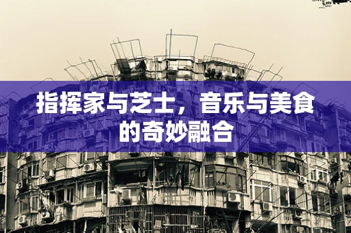 指挥家与芝士，音乐与美食的奇妙融合