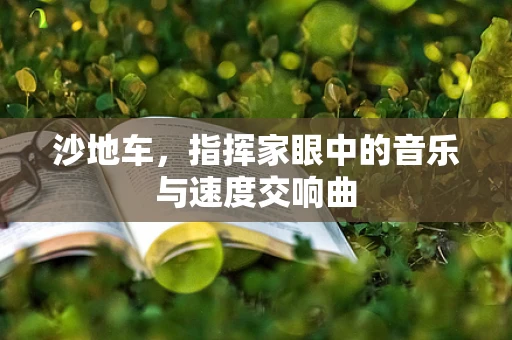 沙地车，指挥家眼中的音乐与速度交响曲