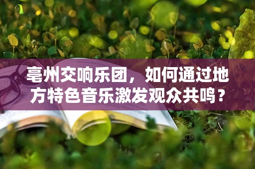 亳州交响乐团，如何通过地方特色音乐激发观众共鸣？