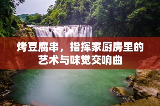 烤豆腐串，指挥家厨房里的艺术与味觉交响曲