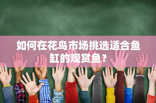 如何在花鸟市场挑选适合鱼缸的观赏鱼？
