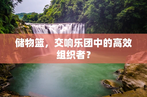 储物篮，交响乐团中的高效组织者？