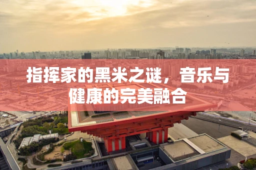 指挥家的黑米之谜，音乐与健康的完美融合
