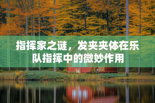 指挥家之谜，发夹夹体在乐队指挥中的微妙作用