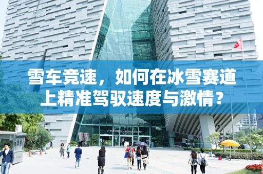 雪车竞速，如何在冰雪赛道上精准驾驭速度与激情？