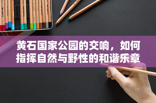 黄石国家公园的交响，如何指挥自然与野性的和谐乐章？