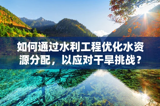 如何通过水利工程优化水资源分配，以应对干旱挑战？