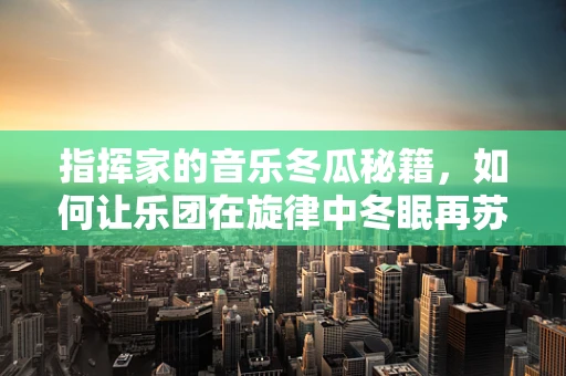 指挥家的音乐冬瓜秘籍，如何让乐团在旋律中冬眠再苏醒？