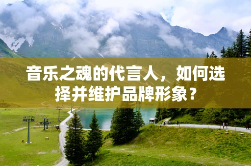 音乐之魂的代言人，如何选择并维护品牌形象？