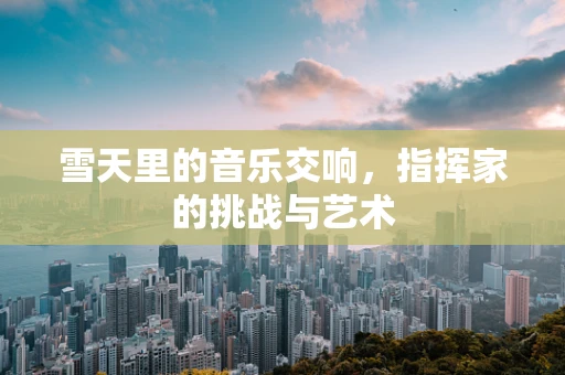 雪天里的音乐交响，指挥家的挑战与艺术