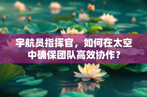 宇航员指挥官，如何在太空中确保团队高效协作？