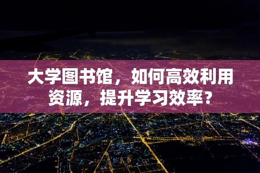 大学图书馆，如何高效利用资源，提升学习效率？
