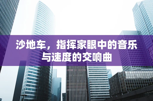 沙地车，指挥家眼中的音乐与速度的交响曲