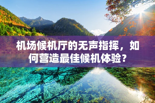 机场候机厅的无声指挥，如何营造最佳候机体验？