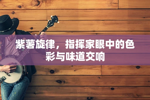 紫薯旋律，指挥家眼中的色彩与味道交响