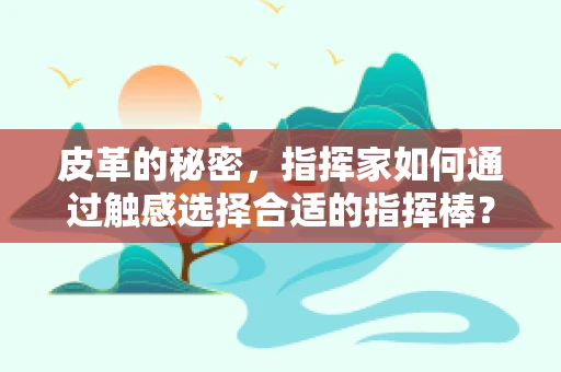 皮革的秘密，指挥家如何通过触感选择合适的指挥棒？