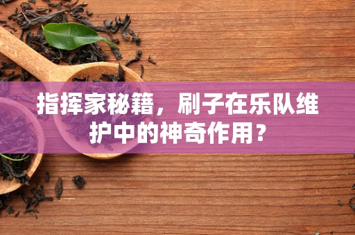 指挥家秘籍，刷子在乐队维护中的神奇作用？